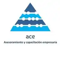 ACE Consultores  WhatsApp Channel