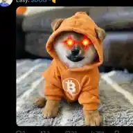 Airdrop update WhatsApp Channel