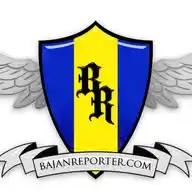 Bajan Reporter Network: Live Updates WhatsApp Channel