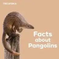 Biology World WhatsApp Channel