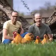 Cocky Locky Farm 🐓 naturbunteeier.de  WhatsApp Channel