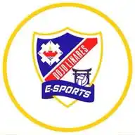 Dojo Linares Deportivo WhatsApp Channel