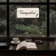 Tran_QUILL_ed WhatsApp Channel