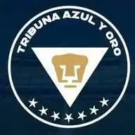 Tribuna Azul Y Oro WhatsApp Channel