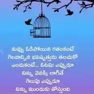 ఉమ్మడి నల్గొండ-ఖమ్మం-వరంగల్ గ్రాడ్యుయేట్స్ అసోసియేషన్ WhatsApp Channel