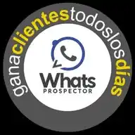 WhatsProspector WhatsApp Channel