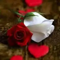 ابو محمود للعطور ومستحضرات التجميل والعناية بالبشرة والشعر والجسم WhatsApp Channel