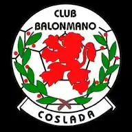 Balonmano Coslada WhatsApp Channel