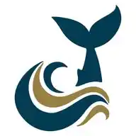BLUE WHALE PROFITS INSTITUTE™ WhatsApp Channel
