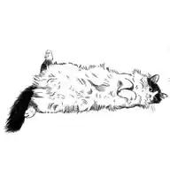 Bookmarked (Slow Update) WhatsApp Channel
