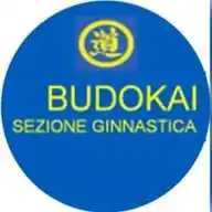 Budokai-SEZIONE GYM WhatsApp Channel