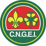 CNGEI WhatsApp Channel
