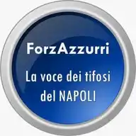 ForzAzzurri - La Voce Dei Tifosi Del Napoli WhatsApp Channel