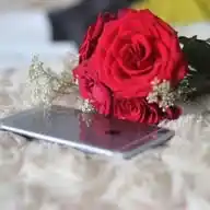 فــذكــر WhatsApp Channel