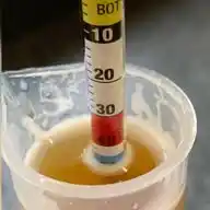 Homebrew UK WhatsApp Channel