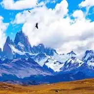 Jorge Lopehandia VS Andronico Luksic, Bachelet & Barrick Gold Corporation WhatsApp Channel