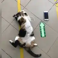 Keccablı pilav  WhatsApp Channel