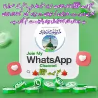 🍁ختم نبوت ﷺ🍁 WhatsApp Channel