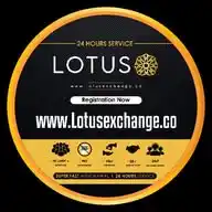 Lotusexchange.co WhatsApp Channel