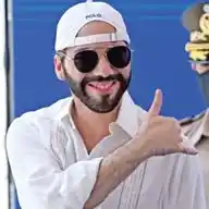 Nayib Bukele WhatsApp Channel