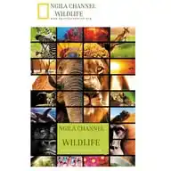 NGILA Foundation  WhatsApp Channel