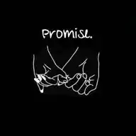 promise. WhatsApp Channel