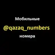qazaq_numbers WhatsApp Channel