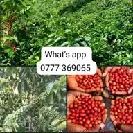 ✨Skipperswarn group✨ WhatsApp Channel
