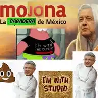 TPMAMLO WhatsApp Channel