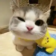  🖇·˚ ༘ Catatan Nay — !  ˊˎ -  WhatsApp Channel