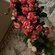 الا بذكر الله تطمئن القلوب ❤️‍🩹✨❤️ WhatsApp Channel