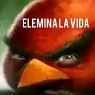 Canal Para Gente Con Estudios 🗿 WhatsApp Channel