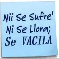 Coja Dato WhatsApp Channel