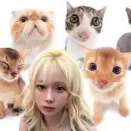🐈🧁🎀🤍 WhatsApp Channel