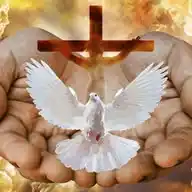 Crecer Akin Christ WhatsApp Channel