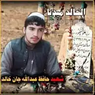 دالخالد میډیا دواټساپ اصلي کانال WhatsApp Channel
