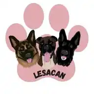 INFORMACIÓN FAMILIA LESACAN WhatsApp Channel