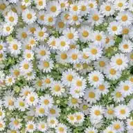 قل إنما أعظكم بواحدة 🌼☘️ WhatsApp Channel