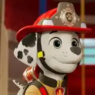 ❤️🐾🔥Marshall Dalmatian❤️🐾🔥 WhatsApp Channel