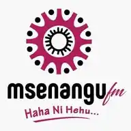 Msenangu FM WhatsApp Channel