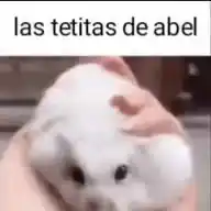 🇲🇽mexicanos al grito de guerra 🇲🇽 WhatsApp Channel