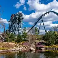 Nick Ringelberg - Themepark Photos WhatsApp Channel