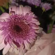 Noyel's WhatsApp Channel