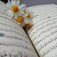 شيماء عبد العزيز    " وَذَكَّرْ " WhatsApp Channel