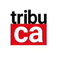 Tribuca WhatsApp Channel