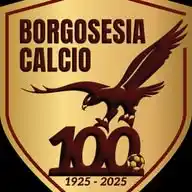 Borgosesia Calcio ASD WhatsApp Channel
