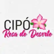 Cipó Rosa do Deserto WhatsApp Channel