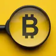 Crypto basha  WhatsApp Channel