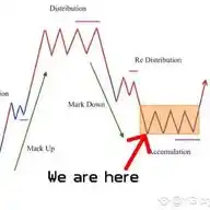 Crypto Signals PRO WhatsApp Channel