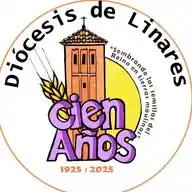 Diócesis de Linares-Chile WhatsApp Channel